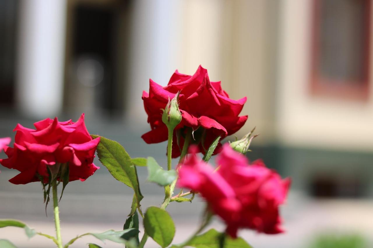 Chinor Garden Hotel Taschkent Exterior foto